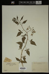 Image Associated With the Occurrence