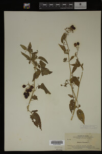 Image Associated With the Occurrence