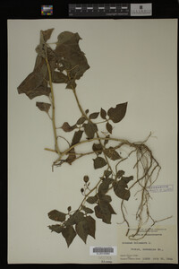 Image Associated With the Occurrence