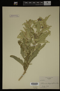 Image Associated With the Occurrence