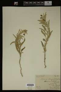 Image Associated With the Occurrence