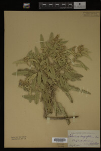 Image Associated With the Occurrence