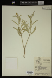 Image Associated With the Occurrence