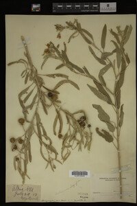 Image Associated With the Occurrence