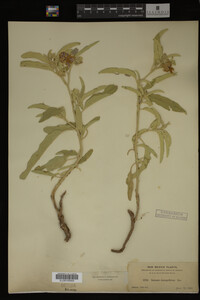 Image Associated With the Occurrence