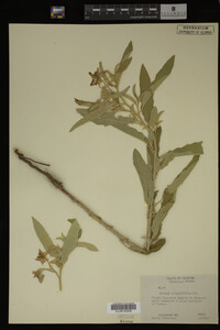 Image Associated With the Occurrence