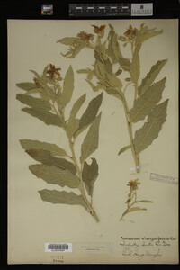 Image Associated With the Occurrence