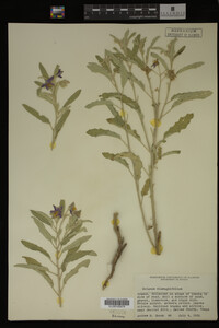 Image Associated With the Occurrence