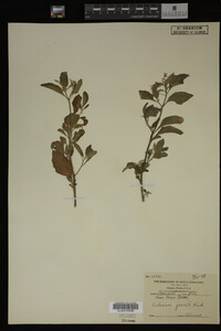 Image Associated With the Occurrence