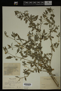 Image Associated With the Occurrence