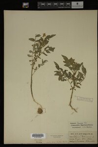 Image Associated With the Occurrence