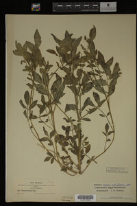 Image Associated With the Occurrence