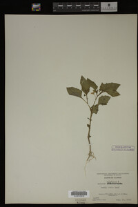 Image Associated With the Occurrence
