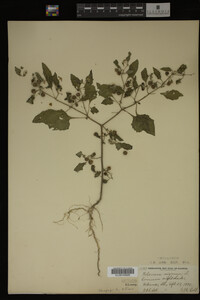 Image Associated With the Occurrence