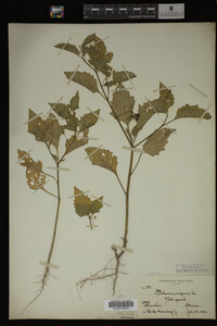 Image Associated With the Occurrence