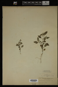 Image Associated With the Occurrence