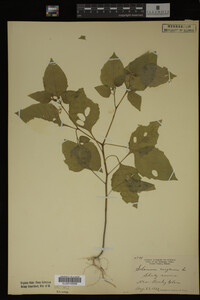 Image Associated With the Occurrence