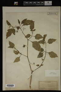 Image Associated With the Occurrence