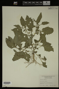 Image Associated With the Occurrence