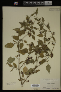Image Associated With the Occurrence