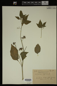 Image Associated With the Occurrence