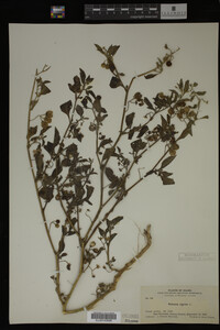Image Associated With the Occurrence