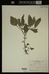 Image Associated With the Occurrence