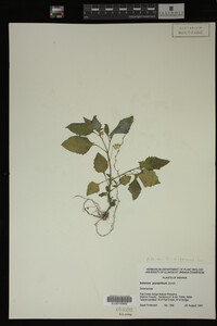 Image Associated With the Occurrence