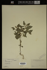 Image Associated With the Occurrence