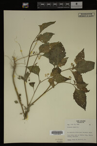 Image Associated With the Occurrence