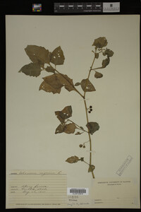 Image Associated With the Occurrence