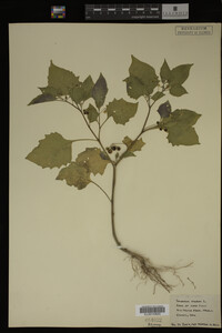 Image Associated With the Occurrence