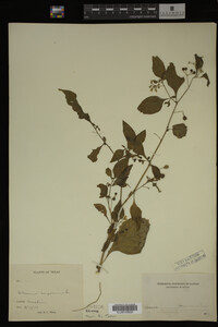 Image Associated With the Occurrence