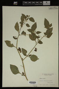 Image Associated With the Occurrence