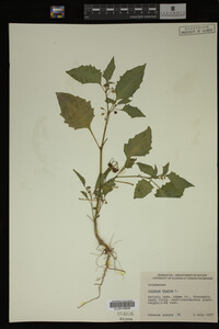 Image Associated With the Occurrence