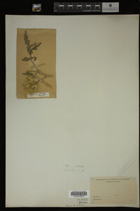 Image Associated With the Occurrence