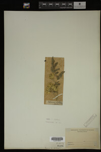 Image Associated With the Occurrence
