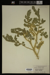 Image Associated With the Occurrence