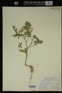 Image Associated With the Occurrence
