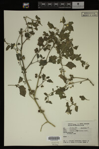 Image Associated With the Occurrence