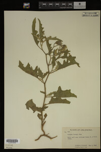 Image Associated With the Occurrence