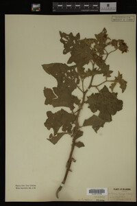 Image Associated With the Occurrence