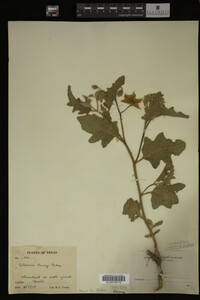 Image Associated With the Occurrence