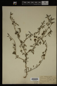 Image Associated With the Occurrence