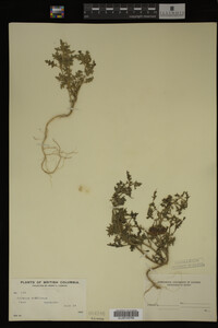 Image Associated With the Occurrence