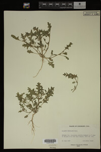 Image Associated With the Occurrence