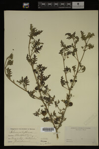 Image Associated With the Occurrence