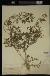 Image Associated With the Occurrence