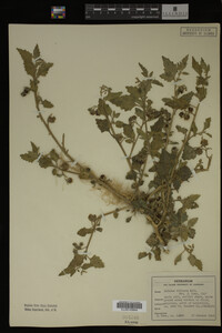 Image Associated With the Occurrence