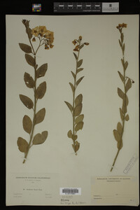 Image Associated With the Occurrence